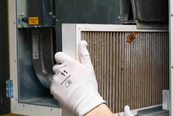 Best Air Vent Cleaning Services  in East Honolulu, HI